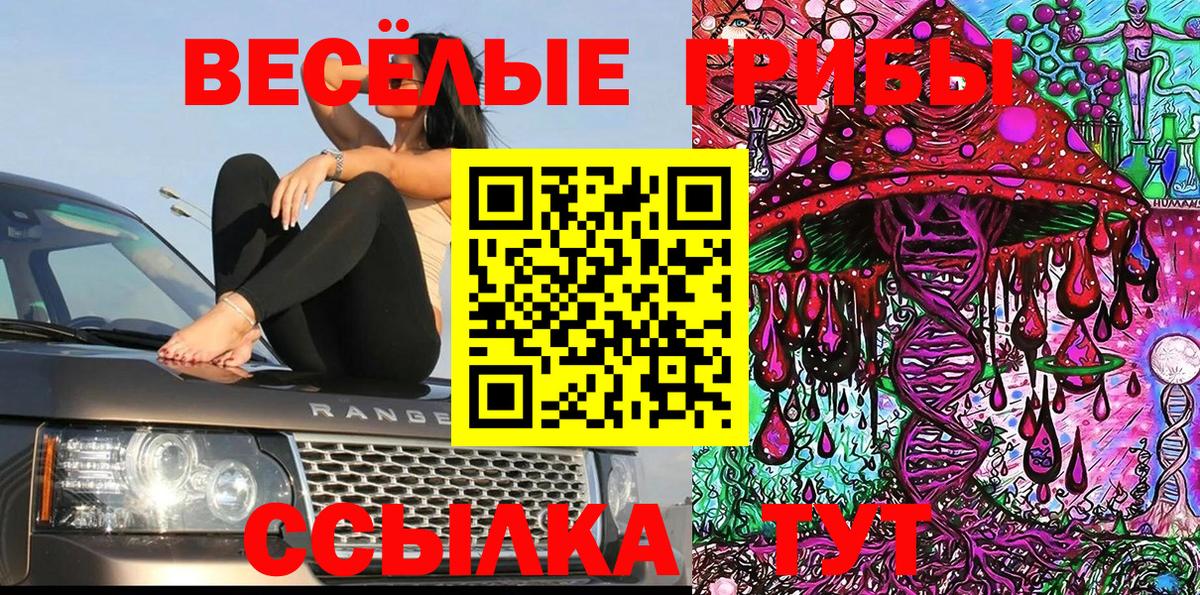 Псилоцибиновые грибы мухоморы Серов