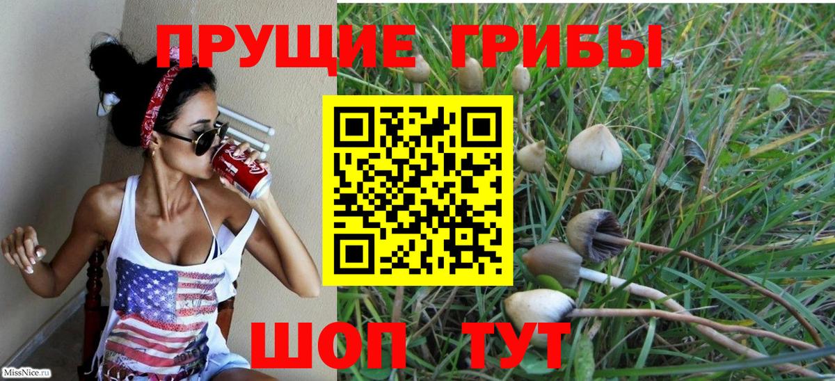 наркота  Вход с VPN  Галлюциногенные грибы Cubensis  Серов  Галлюциногенные грибы Cubensis 